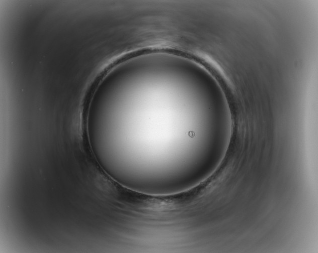 X0000088891270200706081241