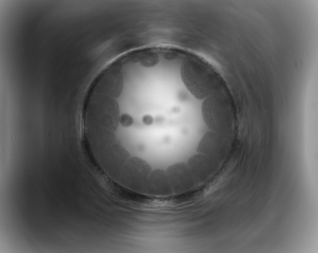 X0000088891271200706081241