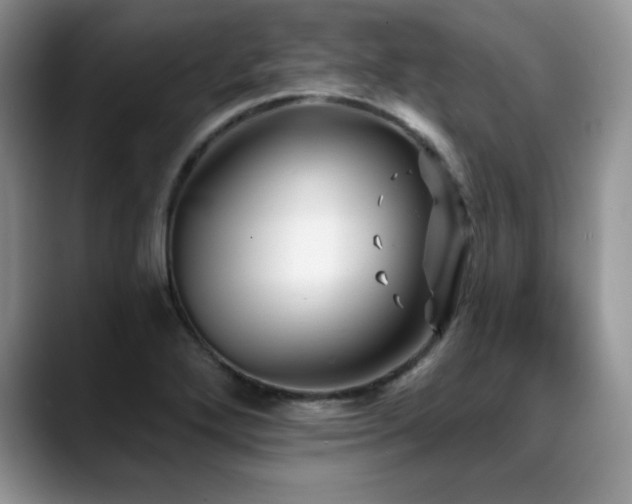 X0000088891272200706081241
