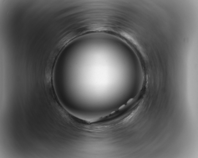 X0000088891273200706081241
