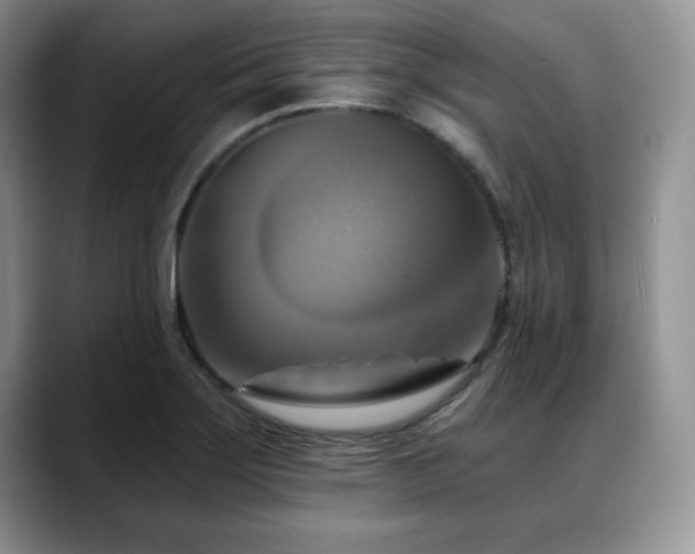 X0000088891275200706081241