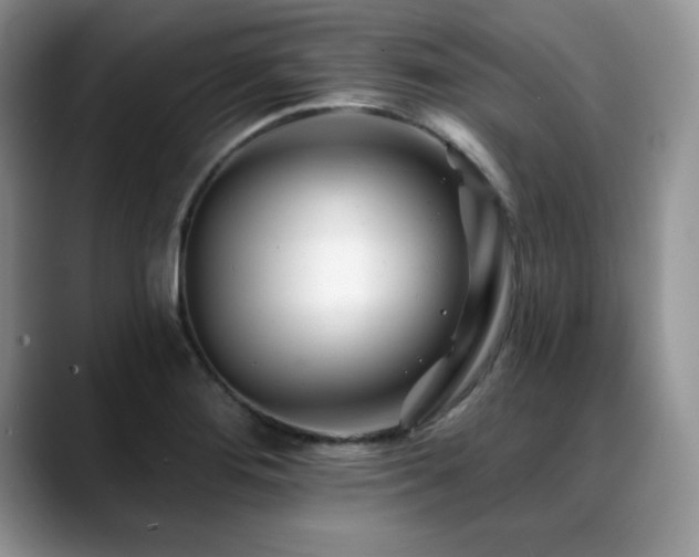 X0000088891276200706081241