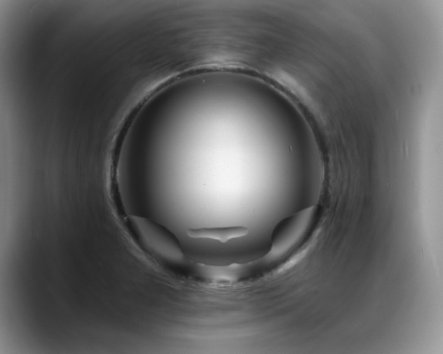 X0000088891277200706081241