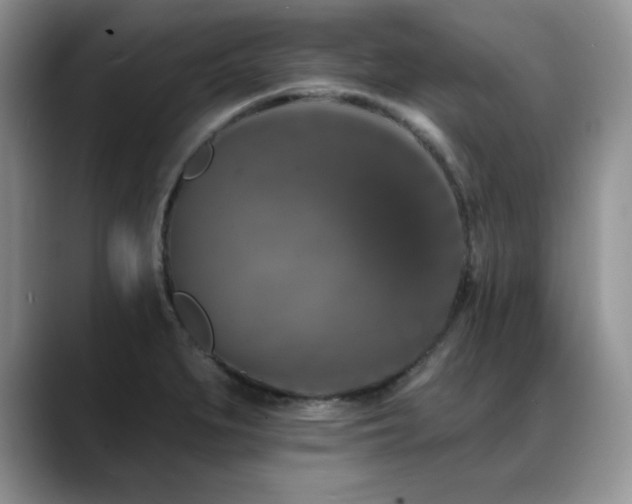 X0000088891279200706081241