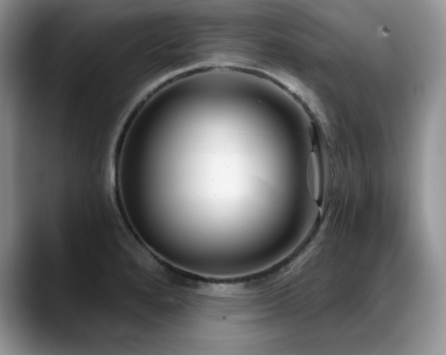 X0000088891280200706081241