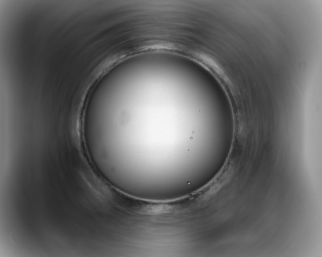 X0000088891282200706081241
