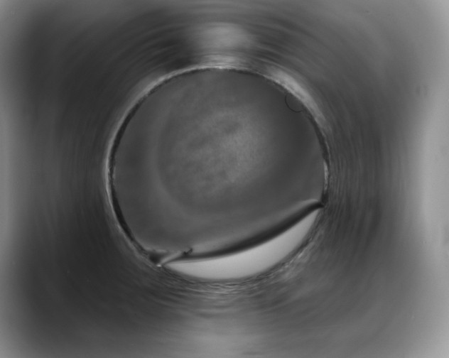 X0000088891283200706081241