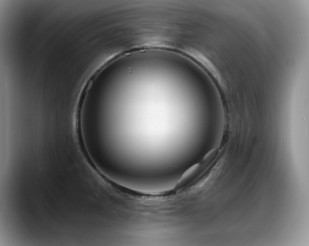 X0000088891285200706081241