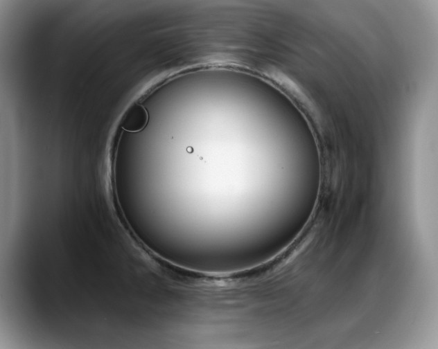 X0000088891286200706081241