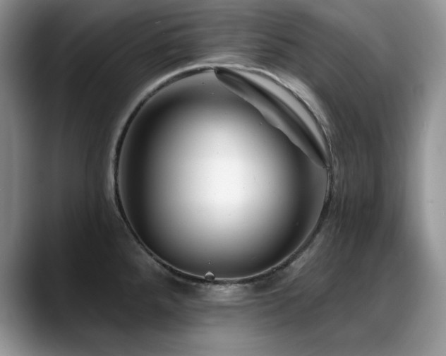 X0000088891288200706081241