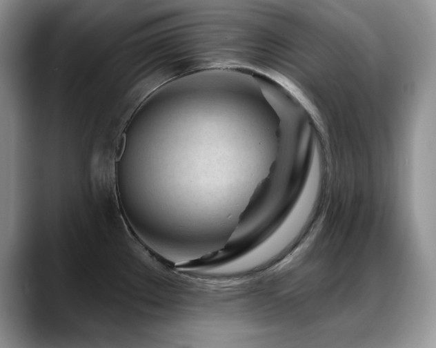 X0000088891289200706081241