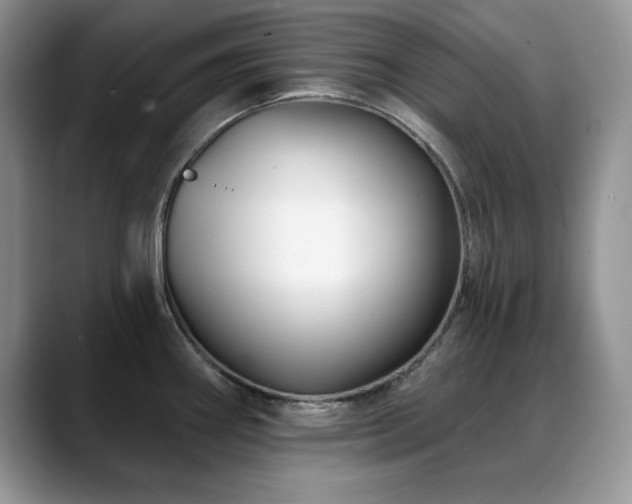 X0000088891290200706081241