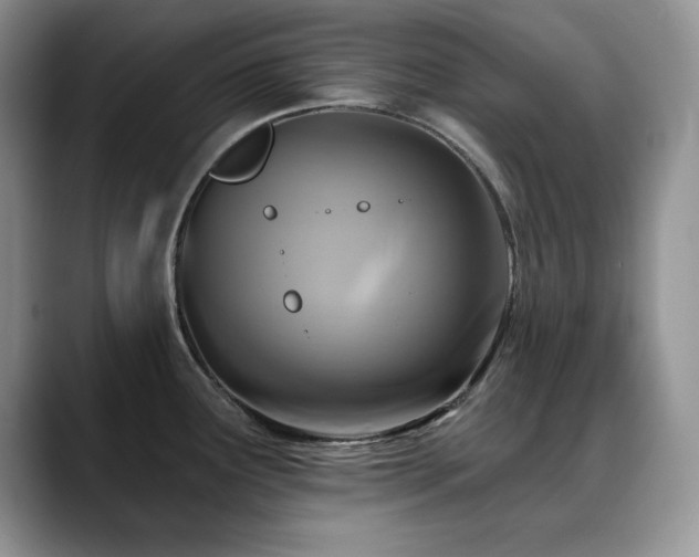 X0000088891291200706081241