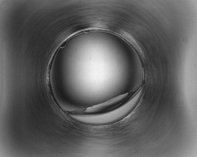 X0000088891292200706081241
