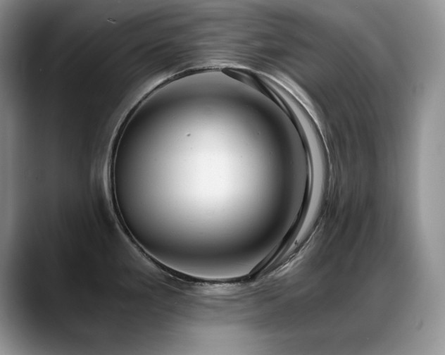 X0000088891293200706081241