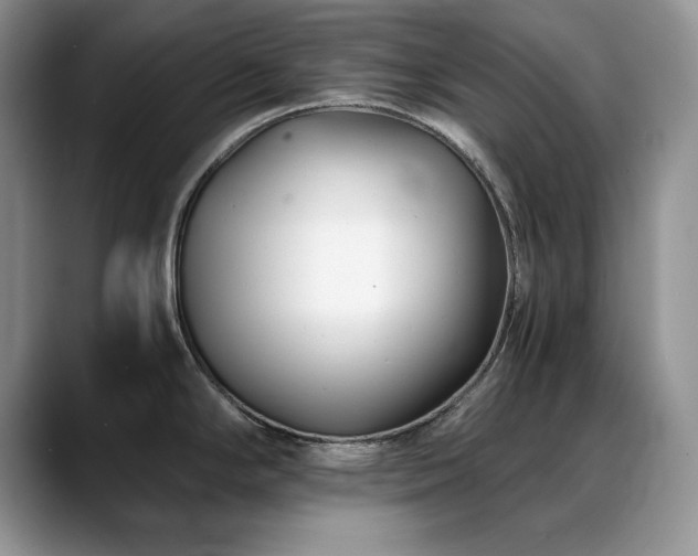 X0000088891294200706081241