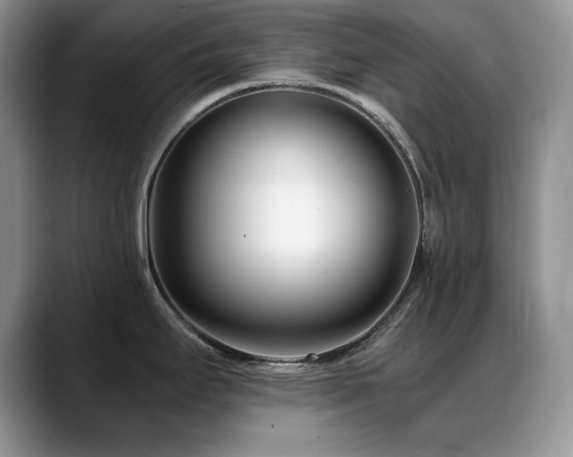 X0000088891295200706081241