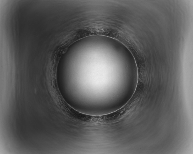 X0000088891297200706081240