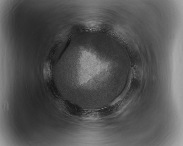 X0000088891298200706081240
