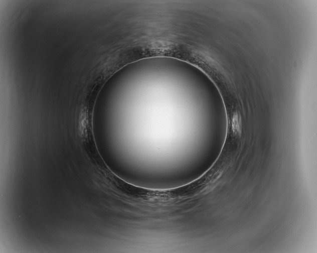 X0000088891299200706081240