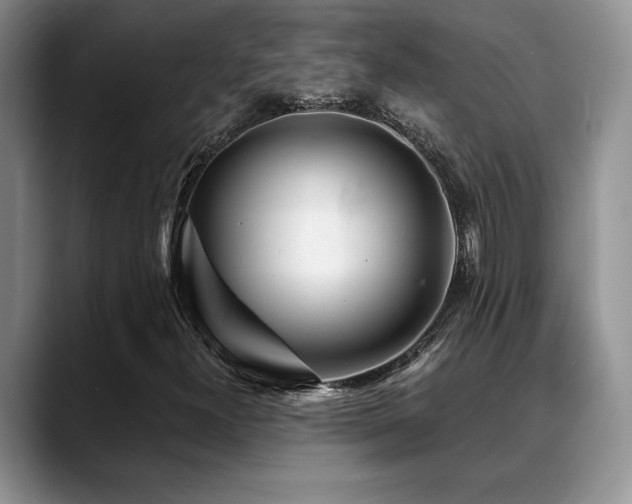 X0000088891300200706081241