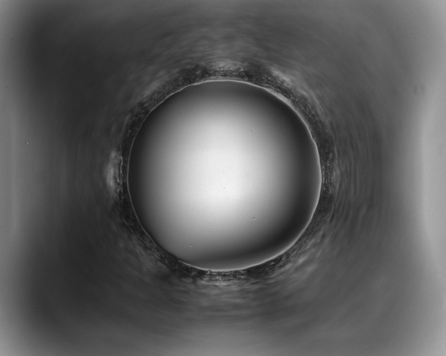 X0000088891301200706081241