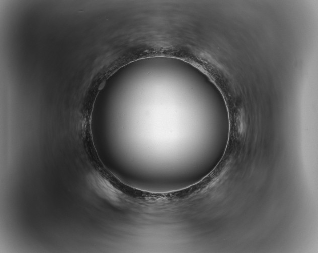 X0000088891302200706081241