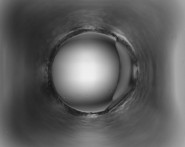 X0000088891304200706081241