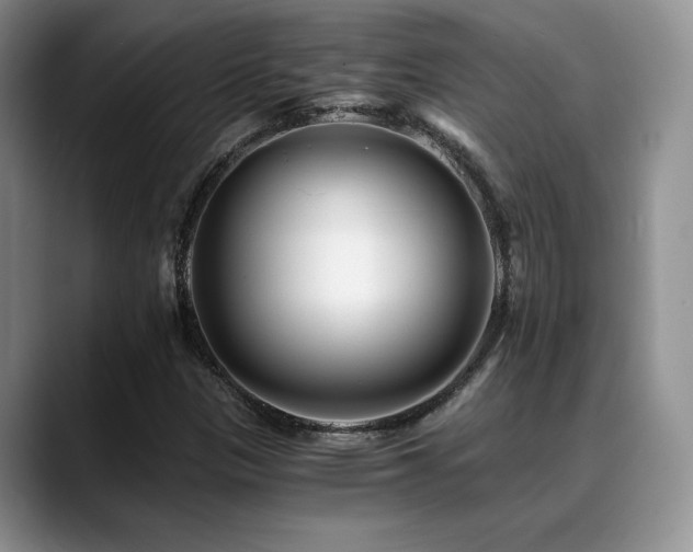 X0000088891305200706081241
