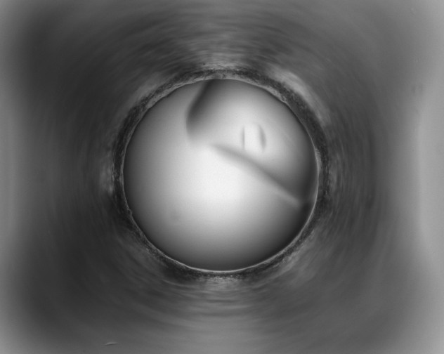 X0000088891306200706081241