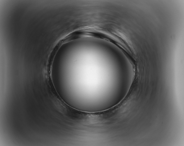 X0000088891308200706081241