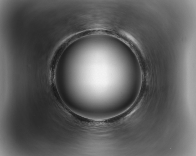 X0000088891310200706081241