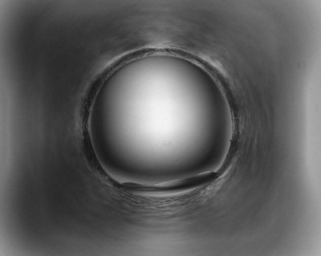 X0000088891311200706081241