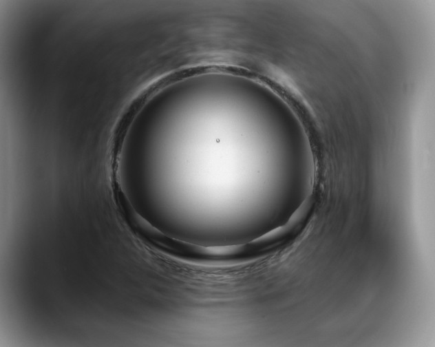 X0000088891312200706081241