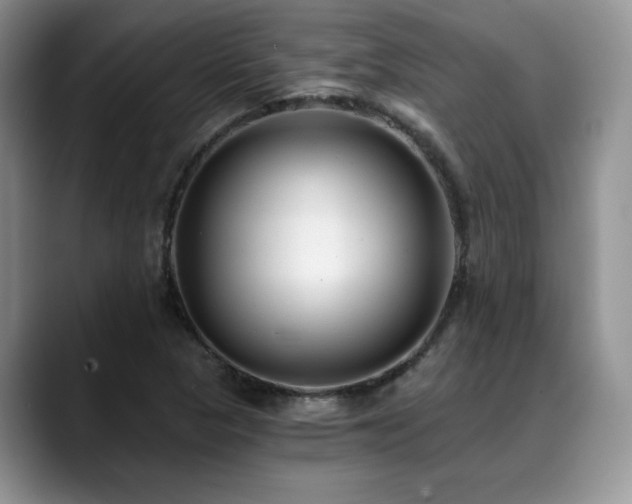 X0000088891313200706081241