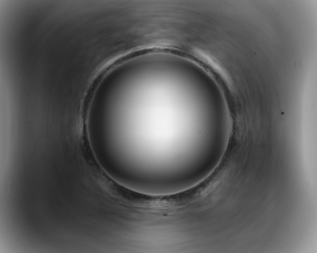 X0000088891316200706081241