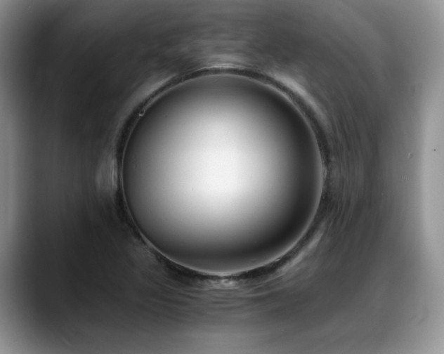 X0000088891317200706081241