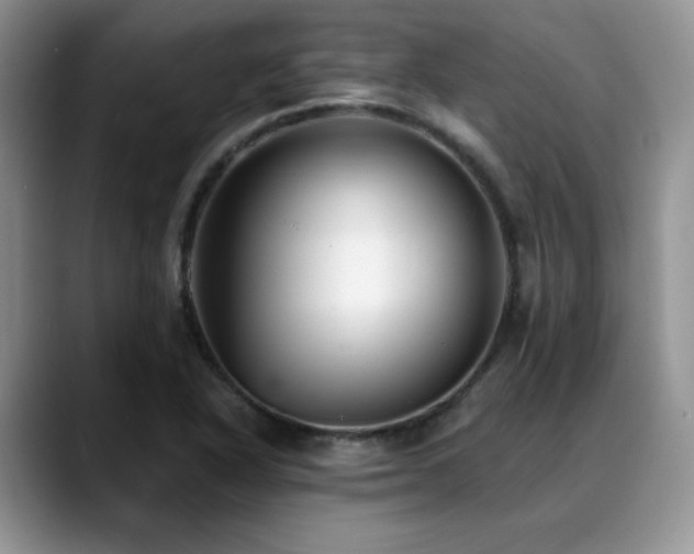 X0000088891318200706081241