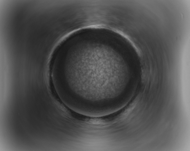 X0000088891319200706081241
