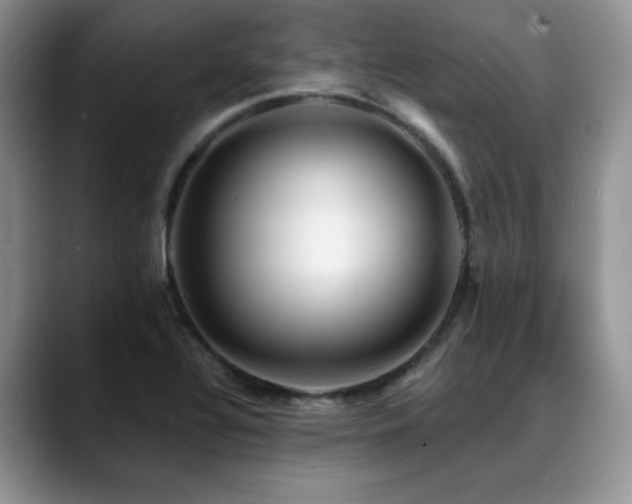 X0000088891320200706081241