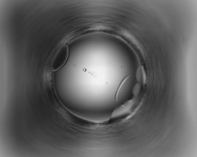 X0000088891321200706081241