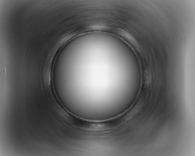 X0000088891322200706081241