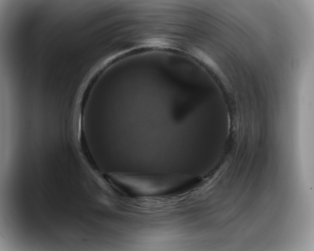 X0000088891323200706081241