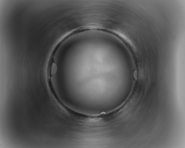 X0000088891325200706081241