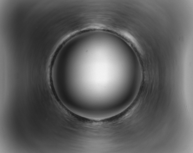 X0000088891326200706081241
