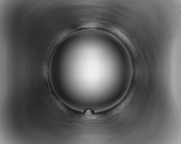 X0000088891329200706081241