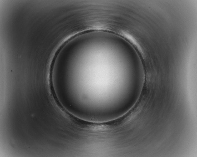 X0000088891331200706081241