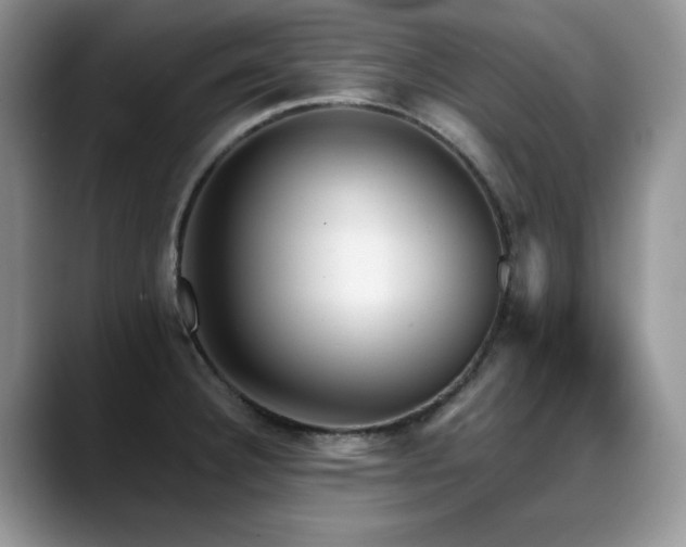 X0000088891332200706081241