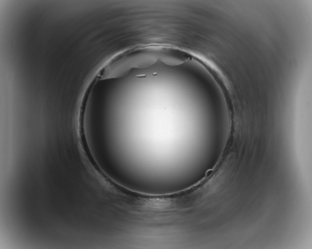 X0000088891333200706081241