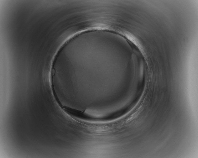X0000088891334200706081241